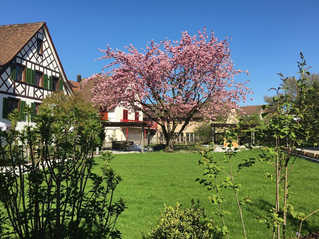 Ferienhotel Bodensee Berlingen Ngoại thất bức ảnh